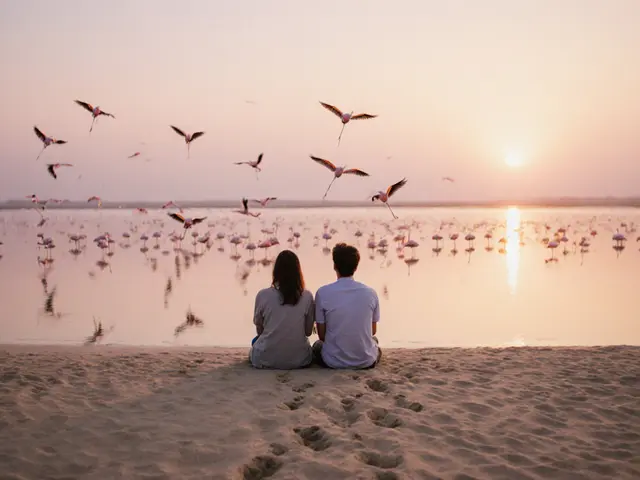 How to Make Your Trip to Abu Dhabi Unforgettable with the Perfect Companion